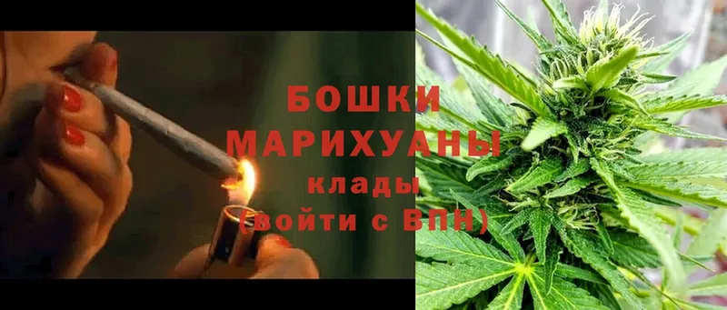 магазин  наркотиков  Северск  Каннабис SATIVA & INDICA 